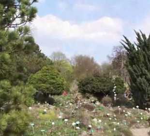Botanischer Garten