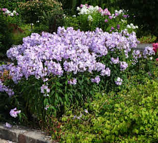 Eindrücke vom Rundgang durch den Park der Gärten
