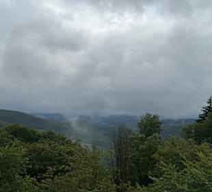 Baumwipfelpfad