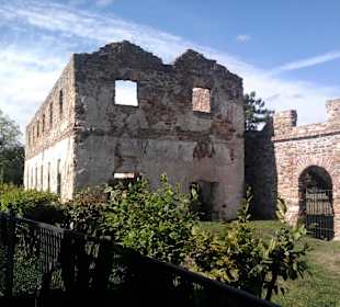 Ruiny Huty w Samsonowie