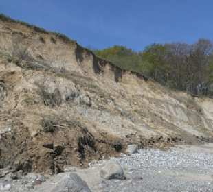 Bei unserer Wanderung an der Brodtener Steilküste