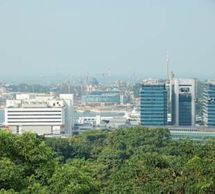 Ausblick von Mt. Faber