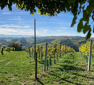 Wandern St. Kathrein am Offenegg