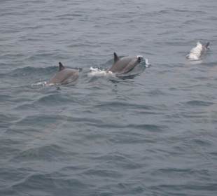 Sunset Cruise - unbedingt mitmachen!