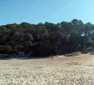 Küstenwanderung Cala Mondrago in Cala Mondrago