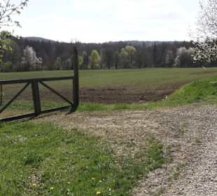 Sport- und Freizeitpark Markwasen