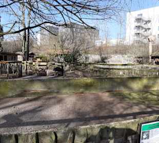 Zoo Landau in der Pfalz