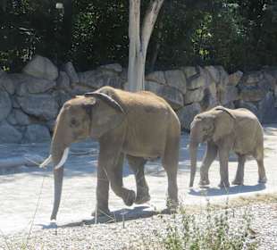 Spaziergang in der nalage