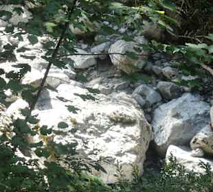 Schöne Wanderungen bei Oberstdorf