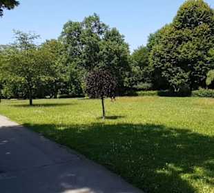 Friedhof Römerschanze