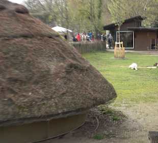 Zoologischer Stadtgarten