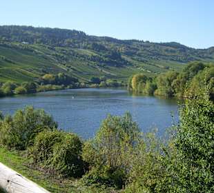 Gegend um Weingut Thesen/Schweich