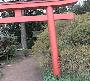 Zoologischer Stadtgarten