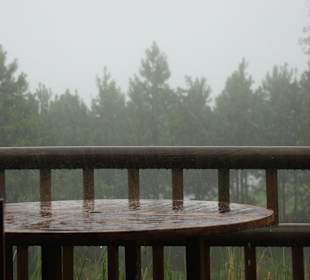 Regen bei der Teeprobe