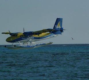 Anflug