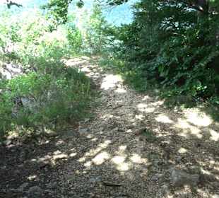 Tour entlang der Traifelbergfelsen