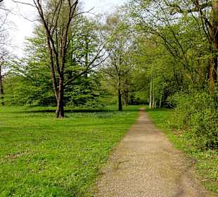 Wege in der Karlsaue