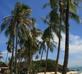 Strand Maenam beim Hotel Pinnacle Samui