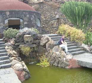 Souvenirshop mit Teich davor