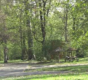 Unterer Schlossgarten Stuttgart