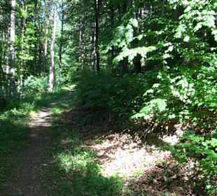 Wanderweg Sieben-Täler-Runde 