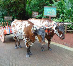 La Paz Waterfall Gardens