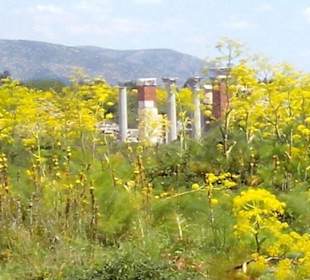Marienkirche Ephesos in Selcuk