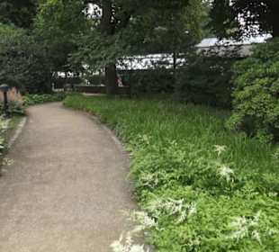 Mittelmeerterrassen - Alter Botaischer Garten