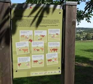 Premiumspazierweg Früchtetrauf-Leisawegle