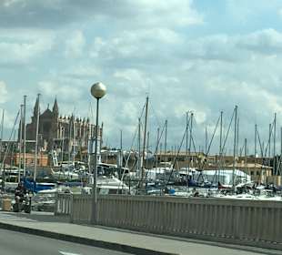 Hafen Palma de Mallorca
