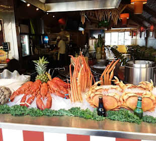 Auf den Spuren der Siedler