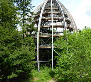 Baumwipfelpfad