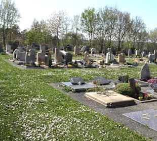 Neuer Friedhof