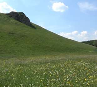Berg Kalkstein