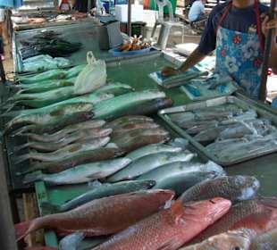 Fischmarkt Rawai