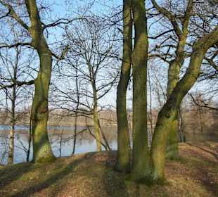 Wunderschöne Boberger Niederung