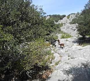 Wanderweg am Kloster