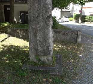 Historischer Rundweg Gönningen