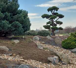 Lausitzer Findlingspark Nochten