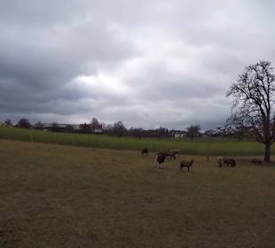 Wanderstrecke Panoramaweg D1