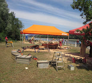 Kreativ Kettensägen am Rhein