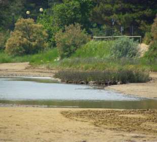 Strand von Bibione 06-2010