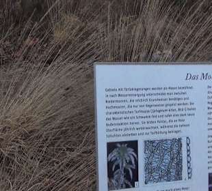 Botanischer Garten