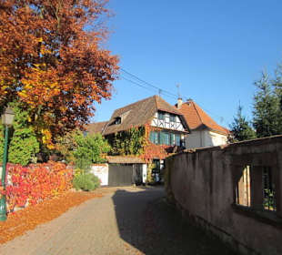 Altstadt Lauterbourg 