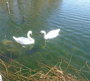 Reutberger Rundwanderung