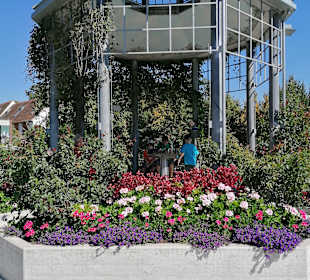 Tierwelt Herberstein