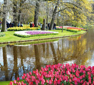 Blumenpracht im Keukenhof