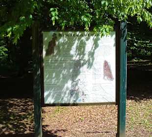 Breitenstein / Zwölfapostelstein Wingen-sur-Moder