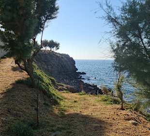 Strand Panormos
