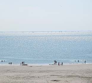 Strand Zoutelande 